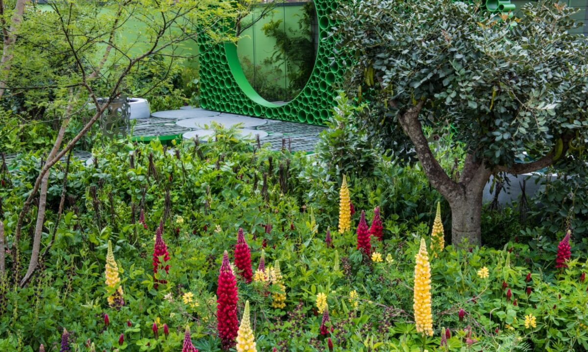RHS Chelsea Flower Show 2018