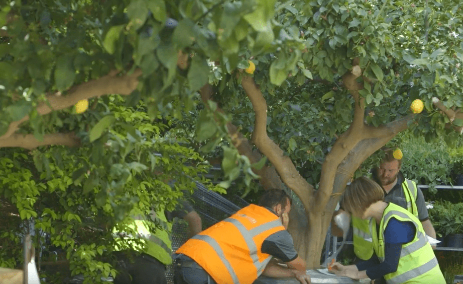 RHS Chelsea Flower Show 2017