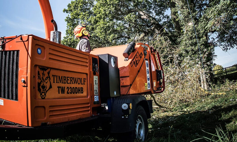 Sectional Felling Dismantling in Bury St Edmunds & Suffolk
