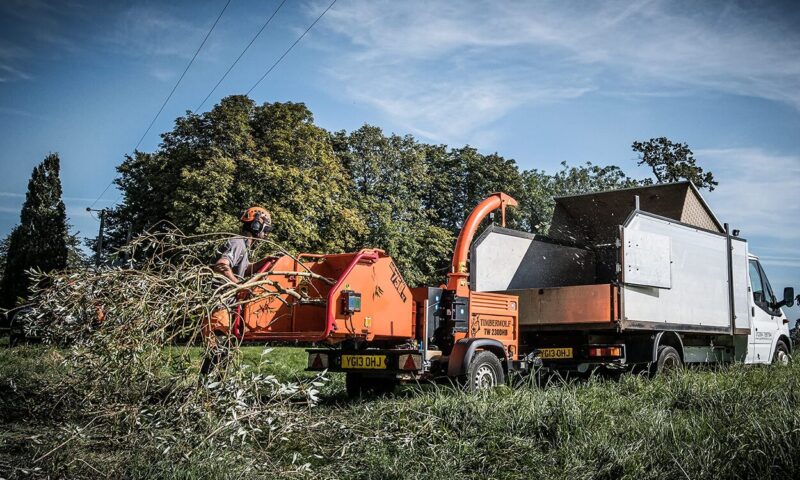 Tree Pruning & Tree Cutting in Bury St Edmunds & Suffolk