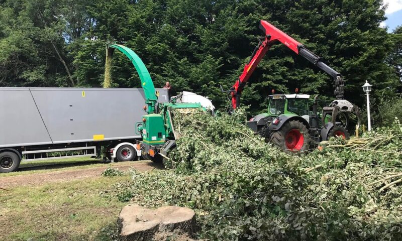 Tree Removal in Bury St Edmunds & Suffolk