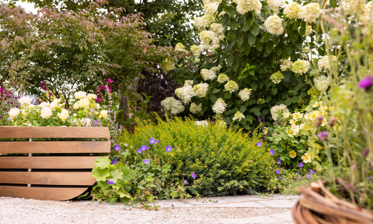 RHS Sandringham Flower Show 2026
