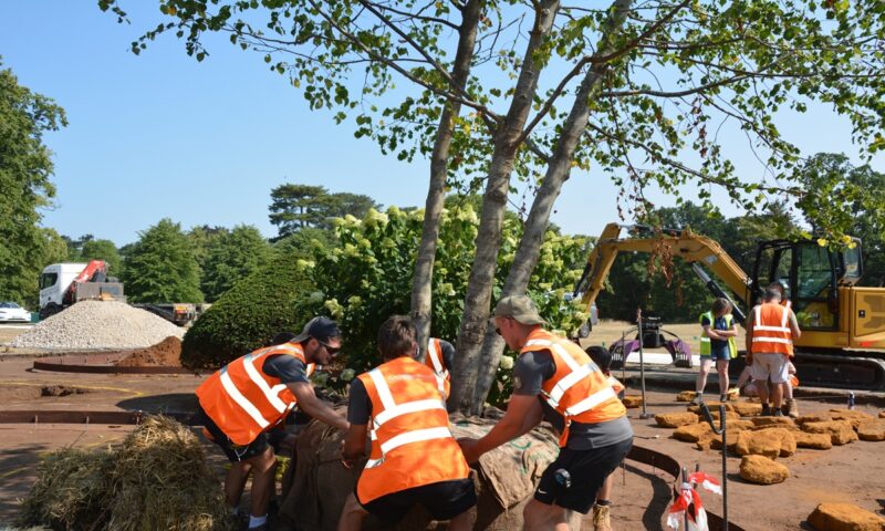 Meet the Team – Harvey Shewing